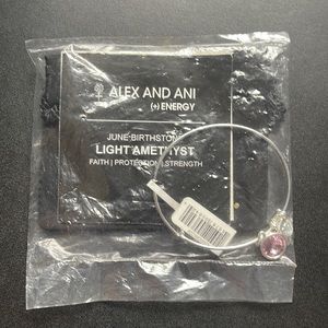 Light Amethyst June Alex + Ani Birthstone Bracelet, Silver Metal